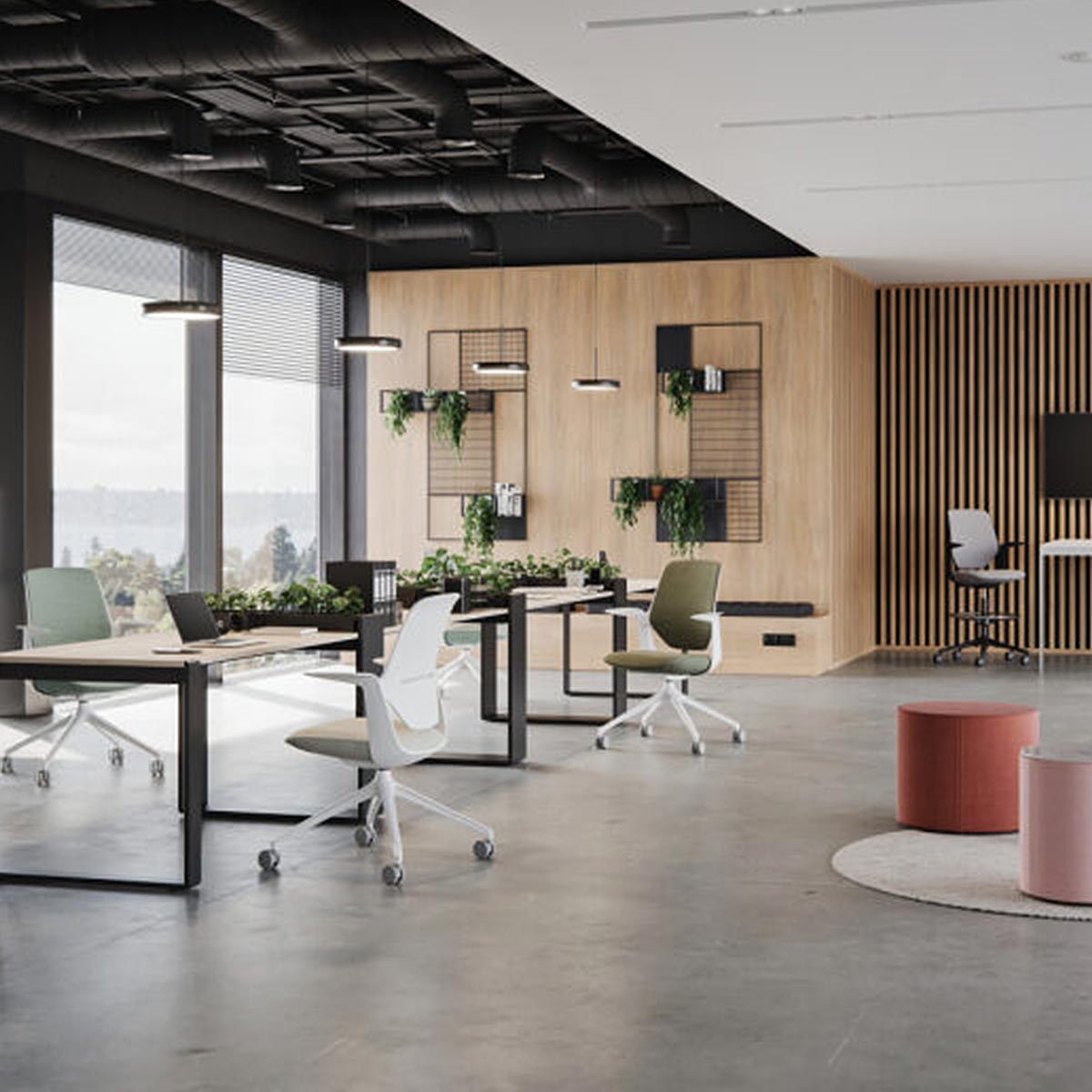 Trillo Pro - Image 8